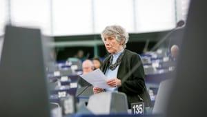 Margrete Auken: Der er mange flotte ord fra Kommissionen, men meget lidt handlekraft