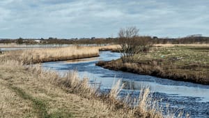 Miljøministerens nye vandplaner får ikke det danske vandmiljø i god tilstand