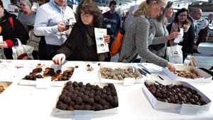 Dansk Folkeparti: Vanvittigt, at vi beskatter luftbobler, smartphones og chokolade