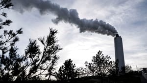 Dansk Fjernvarme: Det haster med grøn skatteaftale, så vi kan få sparket gang i CO2-fangst