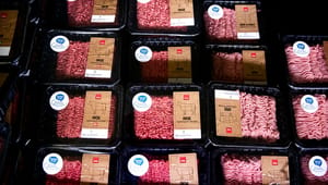 Regeringen vil have flere til at spise grønt, men kødkampagner får flest millioner fra det offentlige