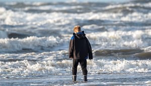 Danmarks Naturfredningsforening: Havplanen skal hjælpe en presset havnatur ud af krisen