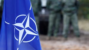 Militæranalytiker: Uden et medlemskab af Nato vil Sverige og Finland fortsat stå forsvarsmæssigt og militært svagt