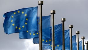 Concito: EU’s taksonomi kan få et alvorligt troværdighedsproblem