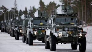 Nato-medlemskab splitter svenskerne