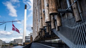 Energiaktører til NOAH: Bæredygtig biomasse er et vigtigt klimaredskab i Danmark