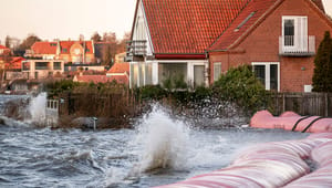 Foreningen af Rådgivende Ingeniører: Lovgivning står i vejen for Danmarks klimatilpasning 