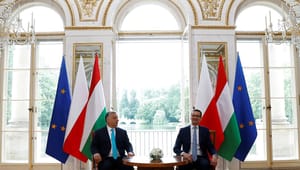 Skelsættende dom baner vejen for, at EU kan tage milliardstøtte fra Polen og Ungarn