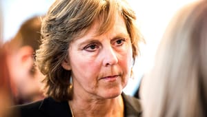 Connie Hedegaard: Tag sikkerhedspolitikken alvorligt ved at omstille til grøn energi