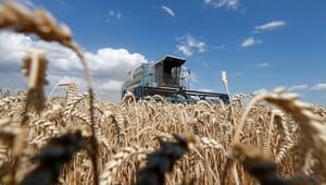 Landbrugsministre kaldt til ekstraordinært EU-møde: Sådan rammes fødevaresektoren af krigen i Ukraine