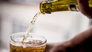 Rektorer vil forbyde alkohol på studieture