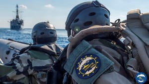 Fra Afrika til Ukraine: Hvad er det for et  EU-forsvar, danskerne skal stemme om?