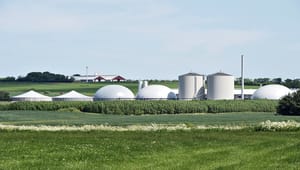 Biogas Danmark: Danskproduceret biogas kan afskære Putins krigskasse
