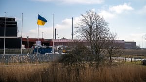 Frygten for stålværkets russiske forbindelse spøger, mens Halsnæs gør klar til at modtage 1.000 flygtninge
