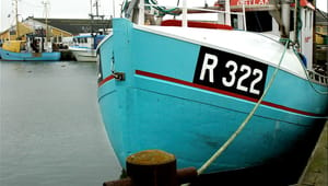 Lokal fiskeriforening: Et stykke af Bornholms identitet forsvinder