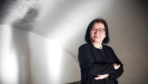 Heidi Wang overtager borgmesters plads i Københavns Borgerrepræsentation