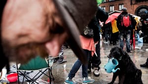 Nye tal: Udsatte københavnere får småjobs hos allerede socialt orienterede ngo'er og virksomheder