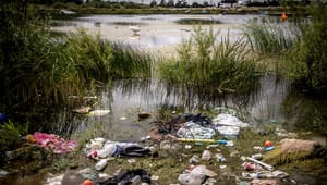 Wermelin og Plastic Change: Global aftale skal sikre, at plastikkurven knækker