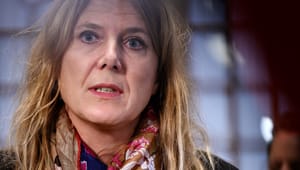 SF's socialordfører genopstiller ikke til Folketinget
