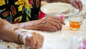 Opsamling på debat: Sådan bør velfærdssamfundet håndtere flere minoritetsetniske ældre