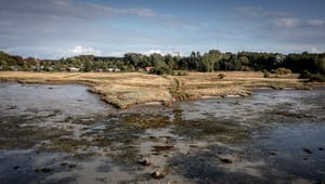 Danske Regioner: Det tager årtier at rense vores grundvand, når skaden er sket. Så lad os begynde at forebygge nu