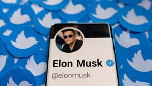 Musk vil forbyde anonymitet på Twitter. Det risikerer at forvolde skade
