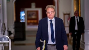Venstres retsordfører stopper som bestyrelsesformand efter afsløring om salg af russiske fisk