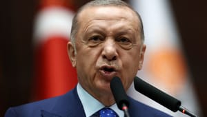 Danske politikere afviser Erdogans Nato-krav: "Det kan give et comeback til Islamisk Stat"