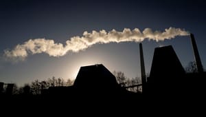 Green Power Denmark: Vi har stadig brug for biomasse i et grønt elsystem