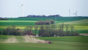 Veganerpartiet: Lavbundsjorde skal ud af landbrugsdriften, hvis vi skal have en reel CO2-reduktion i landbruget