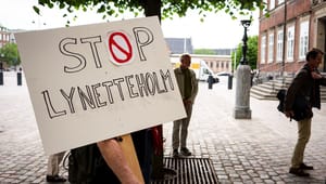 Den Grønne Ungdomsbevægelse: Hvis Lynetteholm er et kinderæg, er det råddent under skallen