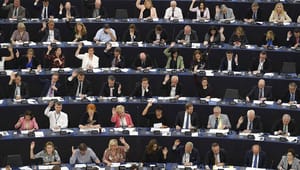 Udvalgsmedlemmer i Europa-Parlamentet afviser Kommissionen: Gas og atomkraft er ikke grønt