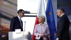 Polen stemmer pludselig for global skatteaftale