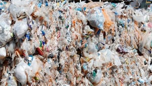 Plastindustrien: En global aftale om havplast må ikke forhastes på vidensgrundlagets bekostning