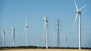 Green Power Denmark: Uforståeligt, at man ikke tager opgør med kirkernes vetoret mod vindmøller