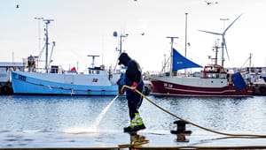 Fiskeriforening: CO2-afgift kan afvikle en betydelig del af fiskeriet
