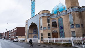 Organisation: Danske muslimer skal selv tage ansvar for manglende repræsentation 
