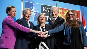 Nato, Norden og en væltet verdensorden: Er det en ny kold krig ... eller noget værre?