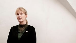 Radikale tøver om fremtiden for dansk minkavl: Afventer regeringens holdning