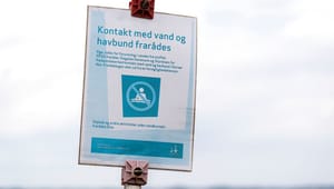 SF klar med plan: Forbud, test og afgifter skal beskytte danskerne mod truslen fra omstridt giftstof