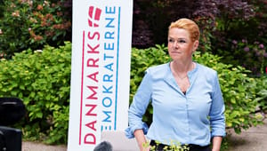 Danmarksdemokraterne er nu repræsenteret i ni kommuner