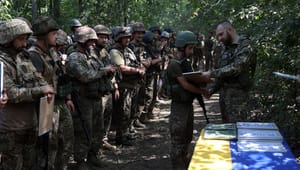 Danske embedsmænd kan lære af Ukraines militære strategi