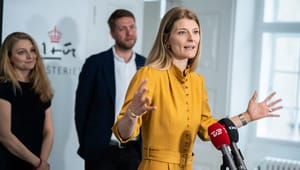 Danske Museer efter ministers melding om reform: Start med en seriøs analyse af vores opgaver