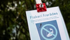 SF vil tilbyde alle danskere test for giftstoffer, men det er både svært og dyrt at gennemføre, siger eksperter