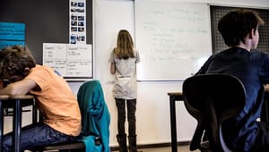 Højrefløjens angreb på dannelsen sniger svenske og amerikanske tilstande ind i klasseværelset