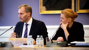 Politisk ordfører hos Danmarksdemokraterne: "De vigtigste kulturinstitutioner skal ikke nødvendigvis ligge i København"