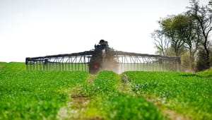 Topøkonom slår fast: Hård regulering af landbruget vil have en reel global klimaeffekt