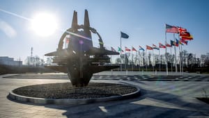 Grønland vil have fast Nato-tilstedeværelse