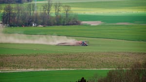 Danmark er Europas mest opdyrkede land: "Vi ligger i et smørhul for landbrugsproduktion"