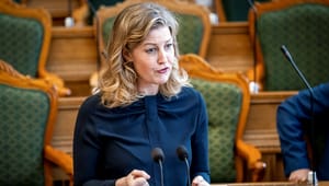 Sofie Carsten Nielsen anbefaler permanent forbud mod minkavl